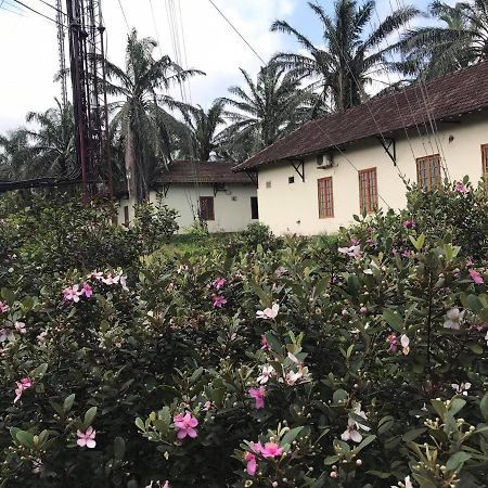 Hotel Palm Garden House Quang Tri Exterior foto