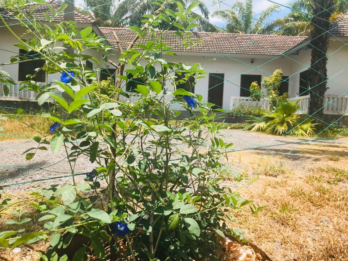 Hotel Palm Garden House Quang Tri Exterior foto