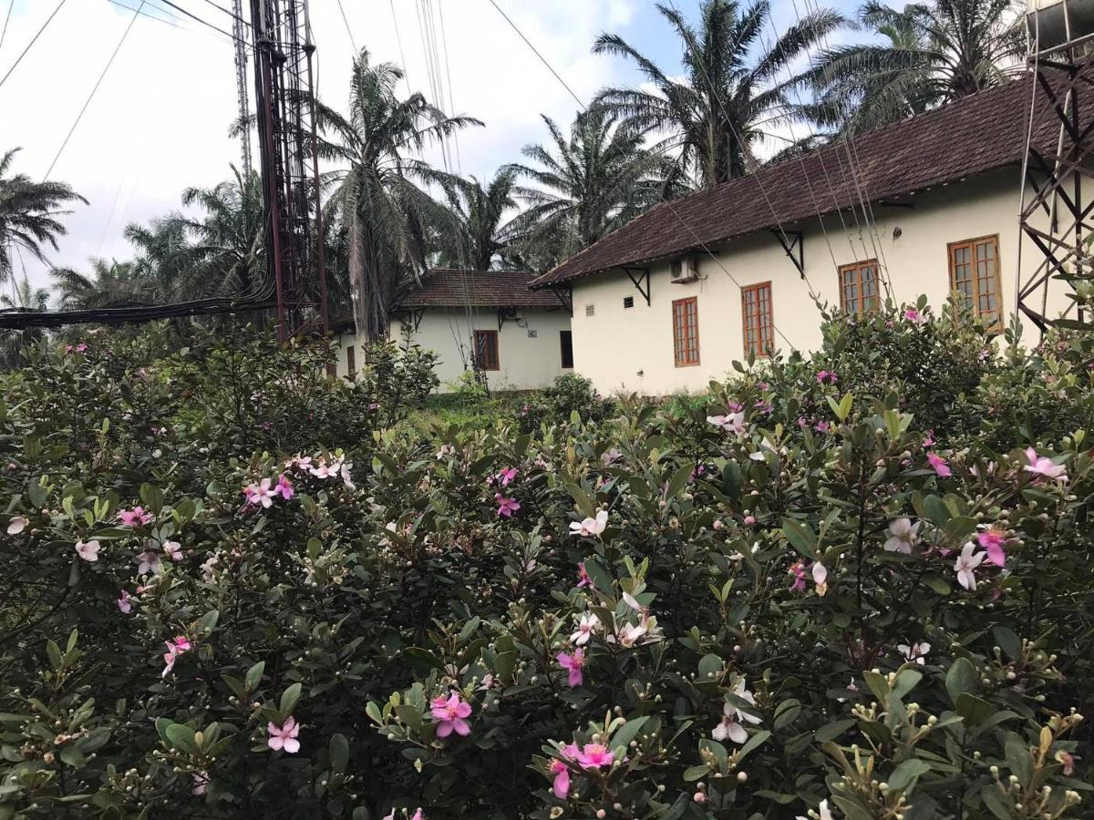 Hotel Palm Garden House Quang Tri Exterior foto